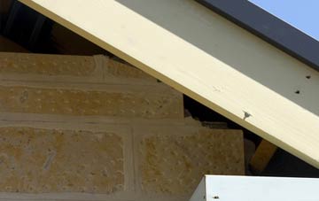 soffit repair Hollywood